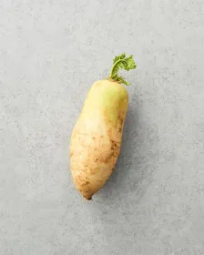 Koreanischer Rettich 1 Stück (ca. 1,1-1,3kg)