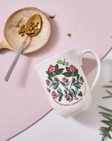 Portmeirion Botanic Garden Tulip Beaker set of 6