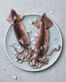MATSARANG Gefrorener ganzer Tintenfisch 1kg - TK