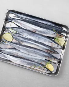 SEASTORY Mackrel Hecht 520g - TK