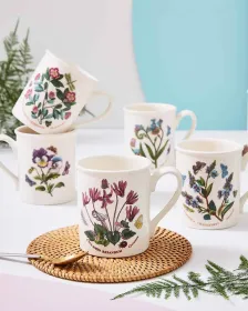 Portmerion Botanischer Garten Frühstücksbecher 5er Set