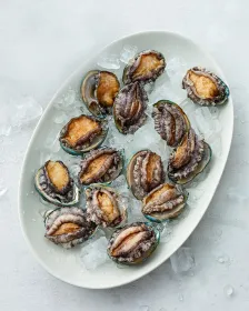 SEASTORY Abalone - TK 250g