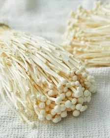 Enoki-Pilz 100g